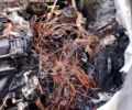 Вольво С60, объемом двигателя 24 л и пробегом 0 тыс. км за 1000 $, фото 1 на Automoto.ua