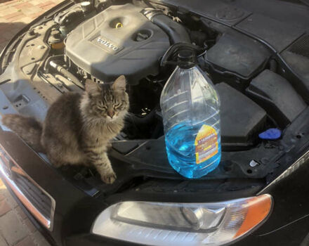 Черный Вольво С80, объемом двигателя 2 л и пробегом 160 тыс. км за 14000 $, фото 9 на Automoto.ua