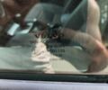 Серый Вольво В50, объемом двигателя 2 л и пробегом 332 тыс. км за 4999 $, фото 61 на Automoto.ua