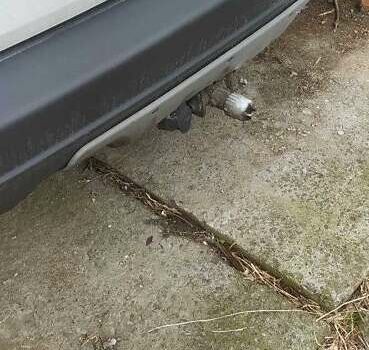 Білий Вольво ХС90, об'ємом двигуна 2.4 л та пробігом 350 тис. км за 9000 $, фото 10 на Automoto.ua