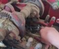 Велгер АП 12 1982 в Кременце на Automoto.ua Велгер АП 12, объемом двигателя 0 л и пробегом 1 тыс. км за 1300 $, фото 7 на Automoto.ua