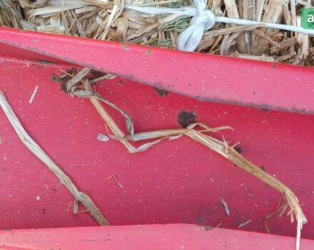 Велгер AP 42, об'ємом двигуна 0 л та пробігом 0 тис. км за 4200 $, фото 7 на Automoto.ua