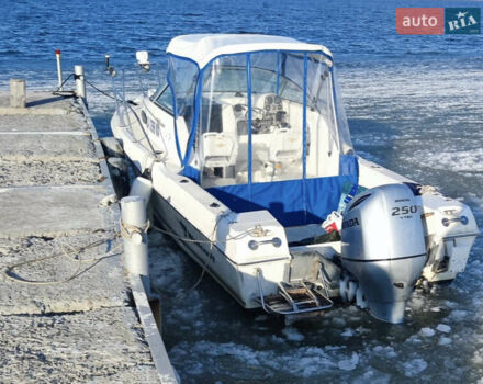 Веллкрафт 250, об'ємом двигуна 0 л та пробігом 0 тис. км за 18800 $, фото 2 на Automoto.ua