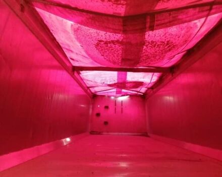 Виелтон НВ, объемом двигателя 0 л и пробегом 1 тыс. км за 16500 $, фото 6 на Automoto.ua