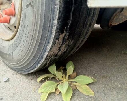 Виелтон НВ, объемом двигателя 0 л и пробегом 1 тыс. км за 16500 $, фото 15 на Automoto.ua