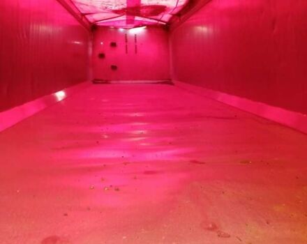 Виелтон НВ, объемом двигателя 0 л и пробегом 1 тыс. км за 16500 $, фото 11 на Automoto.ua