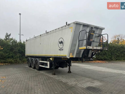 Виелтон NW 3, объемом двигателя 0 л и пробегом 0 тыс. км за 20500 $, фото 1 на Automoto.ua