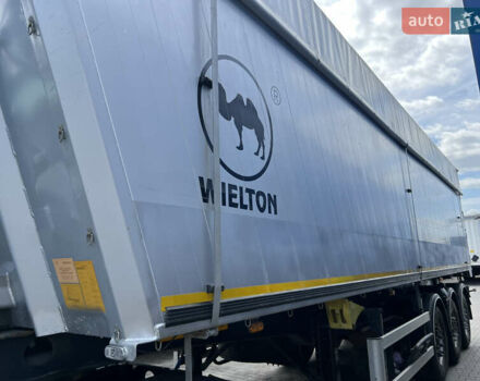 Серый Виелтон NW 3, объемом двигателя 0 л и пробегом 600 тыс. км за 27000 $, фото 7 на Automoto.ua