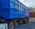 Синий Виелтон NW 3 A6 SDK, объемом двигателя 0 л и пробегом 100 тыс. км за 24500 $, фото 3 на Automoto.ua