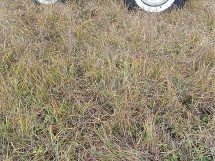 Cингтаи Другая, объемом двигателя 0 л и пробегом 0 тыс. км за 2850 $, фото 1 на Automoto.ua