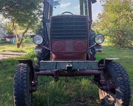 ЮМЗ Другая 1986 в Решетиловке на Automoto.ua ЮМЗ Другая, объемом двигателя 0 л и пробегом 0 тыс. км за 4300 $, фото 1 на Automoto.ua