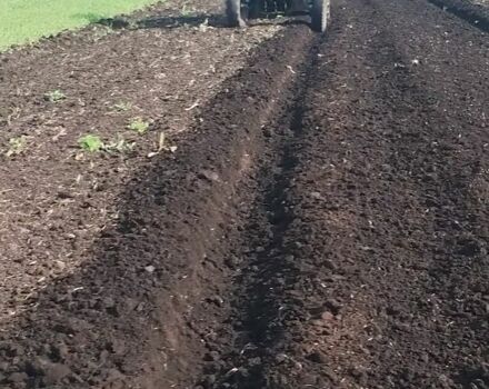 ЮМЗ Інша 1988 у Ратне на Automoto.ua ЮМЗ Інша, об'ємом двигуна 3.91 л та пробігом 0 тис. км за 10000 $, фото 2 на Automoto.ua