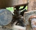ЮМЗ Інша, об'ємом двигуна 0 л та пробігом 0 тис. км за 2549 $, фото 3 на Automoto.ua