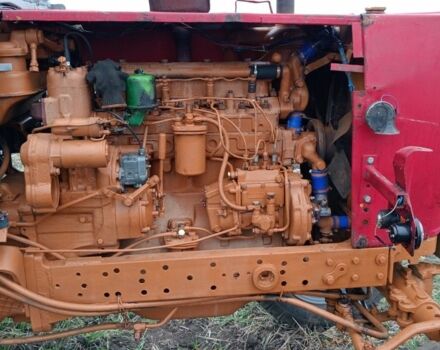 ЮМЗ Другая 1995 в Новомосковске на Automoto.ua ЮМЗ Другая, объемом двигателя 0 л и пробегом 0 тыс. км за 3500 $, фото 2 на Automoto.ua