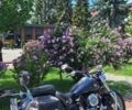 Ямаха 3302, объемом двигателя 1.1 л и пробегом 0 тыс. км за 6300 $, фото 1 на Automoto.ua