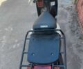 Ямаха 4310, об'ємом двигуна 50 л та пробігом 0 тис. км за 19500 $, фото 3 на Automoto.ua