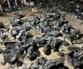 Ямаха 6510, объемом двигателя 49 л и пробегом 0 тыс. км за 750 $, фото 23 на Automoto.ua