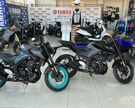 Ямаха 6510, об'ємом двигуна 0.69 л та пробігом 0 тис. км за 440550 $, фото 8 на Automoto.ua