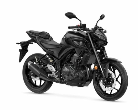 Ямаха 6510, объемом двигателя 0.32 л и пробегом 0 тыс. км за 311850 $, фото 2 на Automoto.ua
