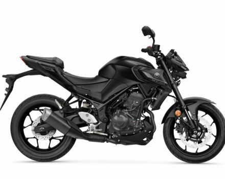 Ямаха 6510, объемом двигателя 0.32 л и пробегом 0 тыс. км за 311850 $, фото 1 на Automoto.ua