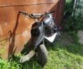 Ямаха С-Элизе, объемом двигателя 72 л и пробегом 0 тыс. км за 678 $, фото 1 на Automoto.ua