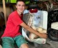 Ямаха Другая, объемом двигателя 50 л и пробегом 0 тыс. км за 461 $, фото 7 на Automoto.ua