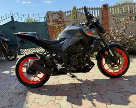 Ямаха Другая, объемом двигателя 0.32 л и пробегом 0 тыс. км за 5000 $, фото 2 на Automoto.ua