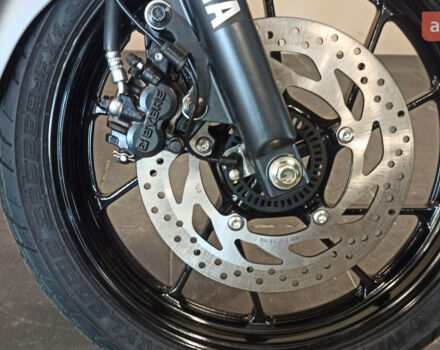 Ямаха FZ, об'ємом двигуна 0.25 л та пробігом 0 тис. км за 3810 $, фото 11 на Automoto.ua