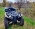 Ямаха Grizzly, об'ємом двигуна 0.5 л та пробігом 1 тис. км за 5000 $, фото 2 на Automoto.ua