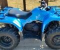 Ямаха Гризли, объемом двигателя 0.35 л и пробегом 3 тыс. км за 5200 $, фото 5 на Automoto.ua