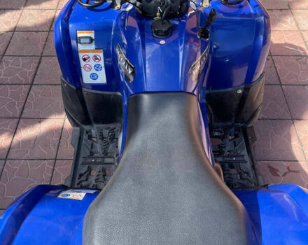 Синий Ямаха Гризли, объемом двигателя 0.3 л и пробегом 1 тыс. км за 4000 $, фото 7 на Automoto.ua