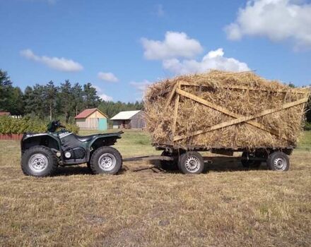 Зелений Ямаха Grizzly, об'ємом двигуна 0 л та пробігом 1 тис. км за 4800 $, фото 1 на Automoto.ua