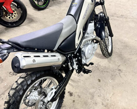 Ямаха Трикер 2014 в Житомире на Automoto.ua Черный Ямаха Трикер, объемом двигателя 0.25 л и пробегом 21 тыс. км за 3900 $, фото 6 на Automoto.ua