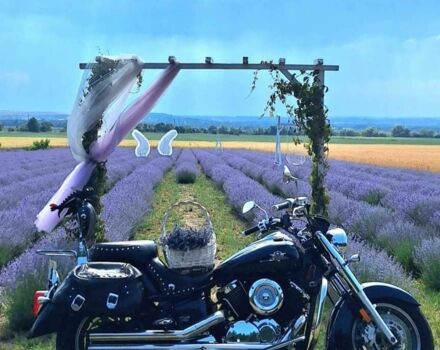 Ямаха В-Стар, объемом двигателя 1.1 л и пробегом 0 тыс. км за 6300 $, фото 7 на Automoto.ua