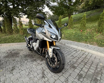 Сірий Ямаха FZ1 Fazer, об'ємом двигуна 1 л та пробігом 49 тис. км за 7699 $, фото 10 на Automoto.ua