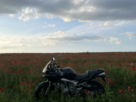 Ямаха FZ6 Fazer 2005 в Тернополе на Automoto.ua Черный Ямаха FZ6 Fazer, объемом двигателя 0.6 л и пробегом 27 тыс. км за 5000 $, фото 1 на Automoto.ua
