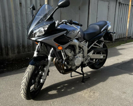 Серый Ямаха FZ6 Fazer, объемом двигателя 0.6 л и пробегом 29 тыс. км за 5000 $, фото 9 на Automoto.ua