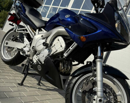 Синий Ямаха FZ6 S, объемом двигателя 0.6 л и пробегом 29 тыс. км за 5300 $, фото 13 на Automoto.ua