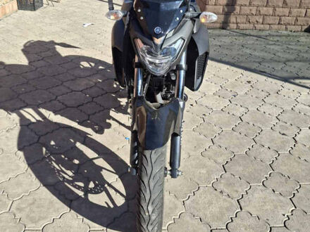 Ямаха FZ 250 2022 в Днепре (Днепропетровске) на Automoto.ua Черный Ямаха FZ 250, объемом двигателя 0.25 л и пробегом 8 тыс. км за 3300 $, фото 1 на Automoto.ua