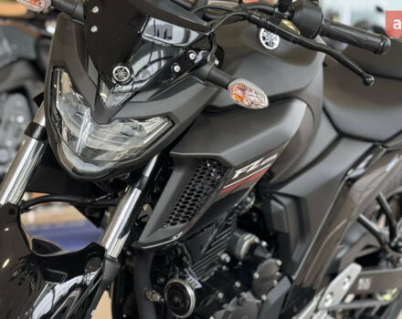 купить новое авто Ямаха FZ 250 2024 года от официального дилера "ВІДІ Мото Лайф" - офіційний дилер Yamaha в Києві Ямаха фото