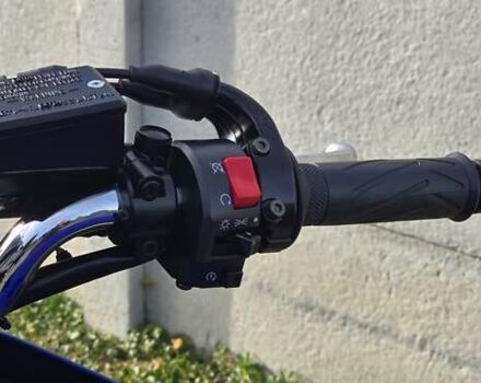 Синий Ямаха FZS 600 Fazer, объемом двигателя 0.6 л и пробегом 40 тыс. км за 4100 $, фото 26 на Automoto.ua