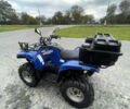 Ямаха Grizzly 700, об'ємом двигуна 0.7 л та пробігом 870 тис. км за 5970 $, фото 8 на Automoto.ua