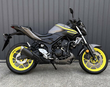 Ямаха MT-03, об'ємом двигуна 0.3 л та пробігом 15 тис. км за 4500 $, фото 1 на Automoto.ua