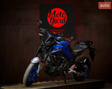 Ямаха MT-03, объемом двигателя 0.3 л и пробегом 25 тыс. км за 5000 $, фото 2 на Automoto.ua