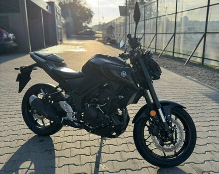 Ямаха MT-03, объемом двигателя 0.32 л и пробегом 6 тыс. км за 5999 $, фото 3 на Automoto.ua