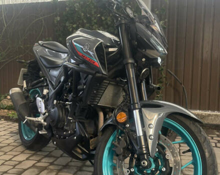 Ямаха MT-03, объемом двигателя 0 л и пробегом 15 тыс. км за 5100 $, фото 3 на Automoto.ua