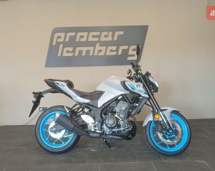 Ямаха MT-03, объемом двигателя 0.32 л и пробегом 0 тыс. км за 7115 $, фото 12 на Automoto.ua