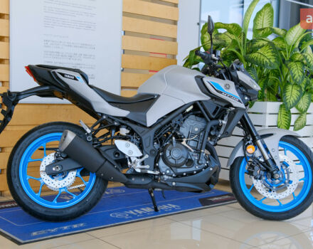 Ямаха MT-03 2025 года купить новое авто Ямаха MT-03 2025 года от официального дилера "ВІДІ Мото Лайф" - офіційний дилер Yamaha в Києві Ямаха фото