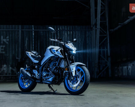 Ямаха MT-03, объемом двигателя 0.32 л и пробегом 0 тыс. км за 7402 $, фото 18 на Automoto.ua