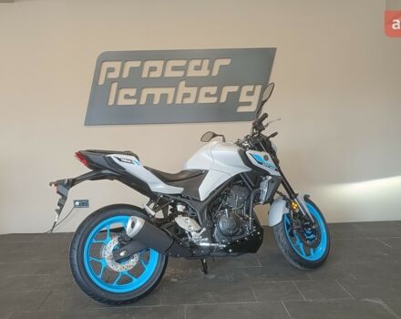 Ямаха MT-03, объемом двигателя 0.32 л и пробегом 0 тыс. км за 7115 $, фото 11 на Automoto.ua